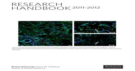 (PDF) srg handbook 2012may - Boston University · alveolar and lingual ...