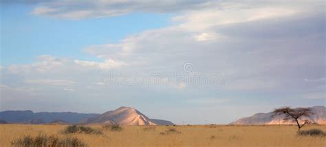 Landscape in Namibia stock image. Image of grass, roadside - 12914557