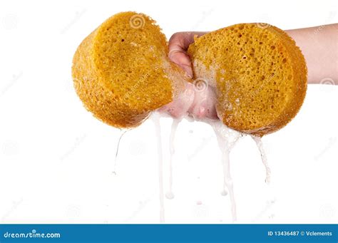 Wringing Out A Sponge On White Stock Image - Image: 13436487