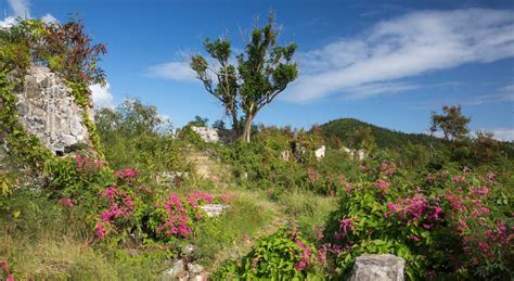 St. John, U.S. Virgin Islands: Epic Hiking Trails Through History