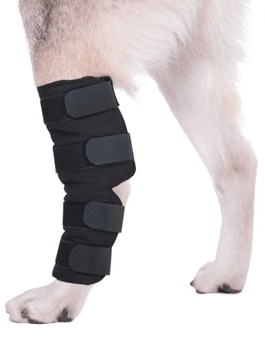 Dog Hock Brace | Leg Braces for Dogs | Rear Joint Support | Canine hind