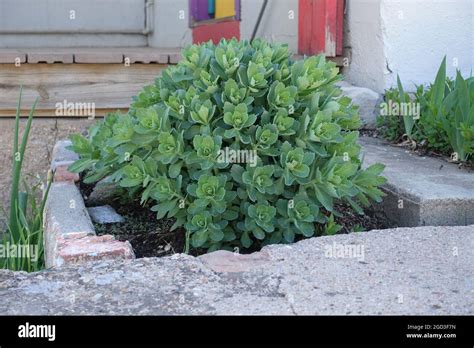 Madrid NM, ghost town turned Artist Community Stock Photo - Alamy