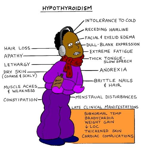 Signs and Symptoms of Hypothyroidism | St. Pete Health & Wellness