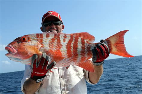 Great Barrier Reef Fishing