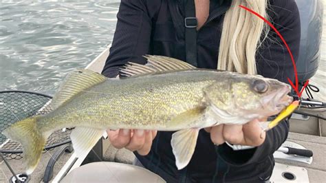 Does Lure Color Matter? The Surprising Science Behind Walleye Color ...