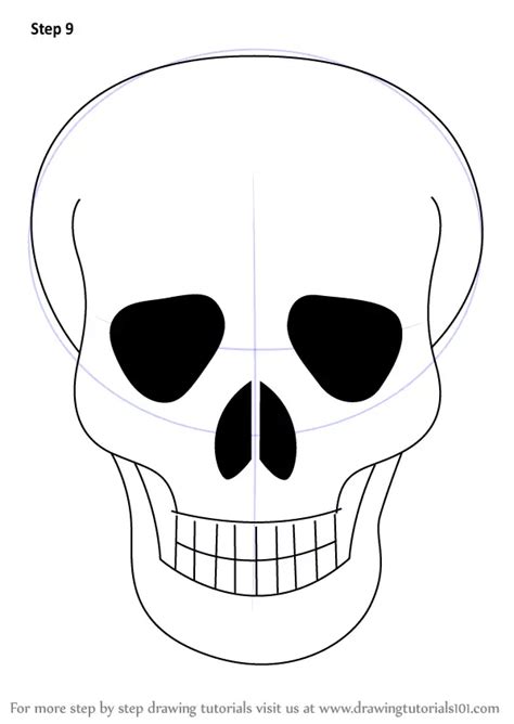 Learn How to Draw Skull Easy (Skulls) Step by Step : Drawing Tutorials