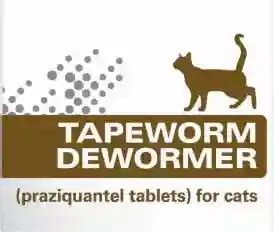 Tapeworms Treatment for Cats: What You Need to Know