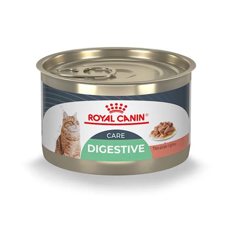 Royal Canin Feline Care Nutrition Digestive Care Thin Slices in Gravy Wet Cat Food, 5.1 oz ...