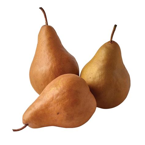 Different Types of Pears