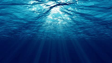 Underwater Scene With Sunrays Stock Footage #AD ,#Scene#Underwater# ...