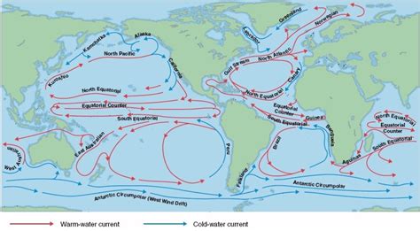 Ocean Currents: Types, Causes & Circulation Pattern of Ocean Currents of the World |APPSC ...