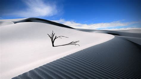 Black White Desert Sand Dunes HD Sand Wallpapers | HD Wallpapers | ID ...