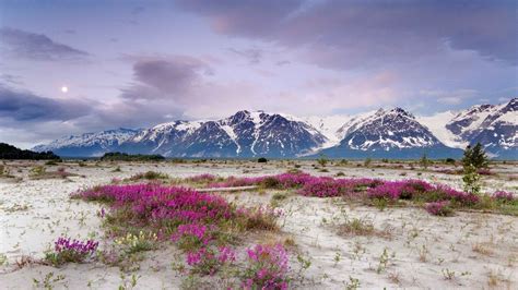 Alaska Landscape Wallpapers - 4k, HD Alaska Landscape Backgrounds on WallpaperBat