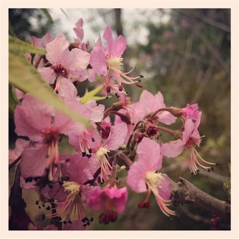 A Little Bit of Mindfulness - World Tree Coaching