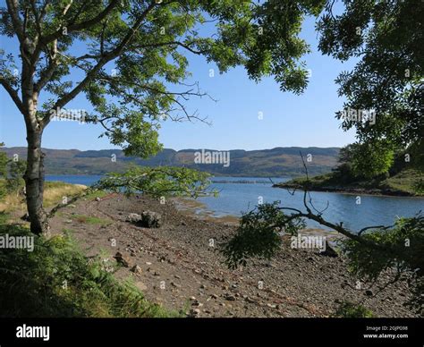 The beautiful scenery of the Scottish lochs in the Highlands & Islands; landscape view of the ...