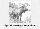 Realistic Elk Coloring Pages sketch template