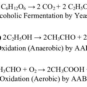 Recommendation Yeast Fermentation Equation Lyfe Support Blogspot