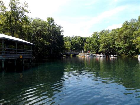 May Day Homosassa River Photograph by Julie Pappas