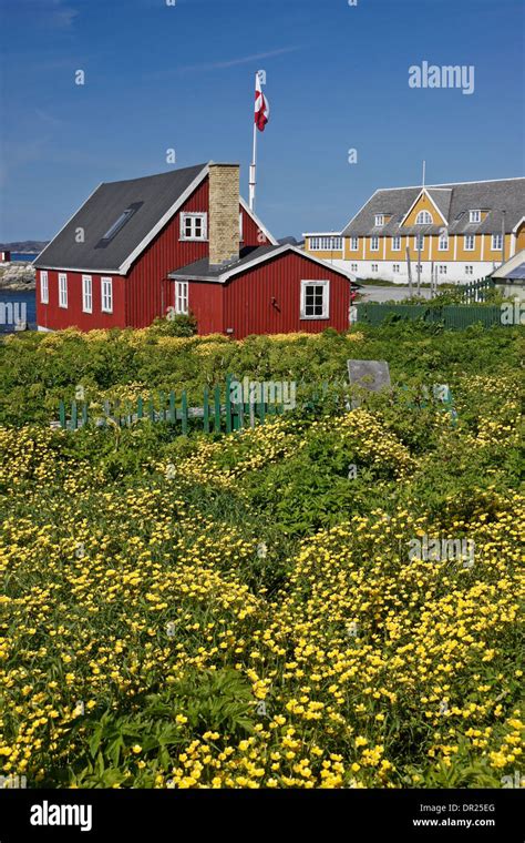 Colorful houses in Nuuk (Godthab), Greenland Stock Photo - Alamy