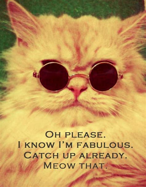 Cool Cat Quotes. QuotesGram