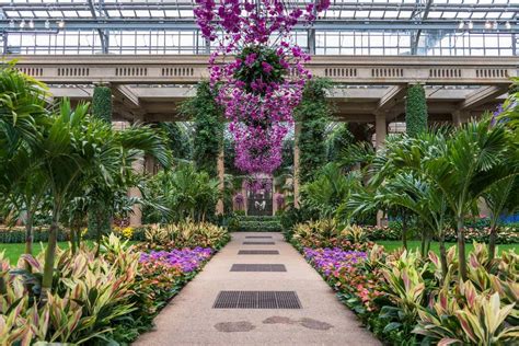 Gran fiesta de orquídeas en Longwood Gardens: Orchid Extravaganza 2019