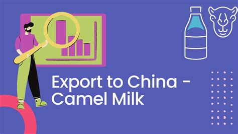 Export to China: Analysis of UAE Camel Milk Industry and Entry Strategy