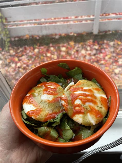 Poached eggs on spinach 200 calories and super frigging good : r ...