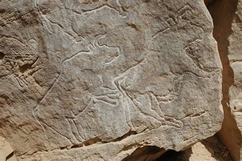 Oldest rock art in Egypt discovered | YaleNews