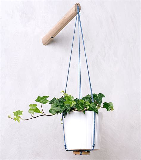 6 Ways To Include Indoor Vines In Your Interior