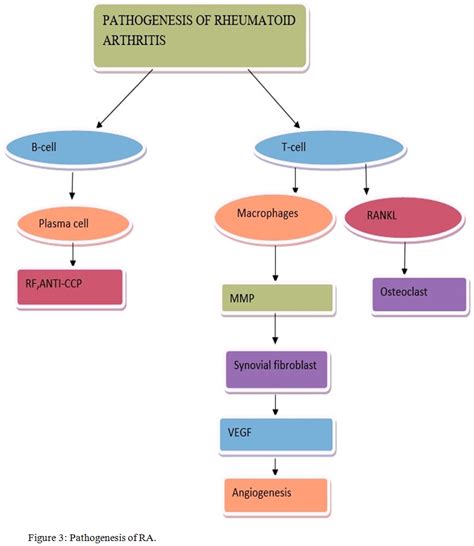 Pathophysiology Of Rheumatoid Arthritis Diagram