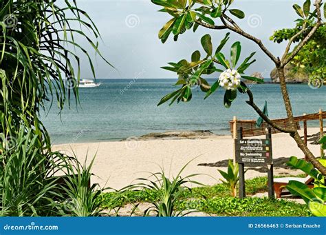 Tropical beach in Thailand stock image. Image of tropics - 26566463