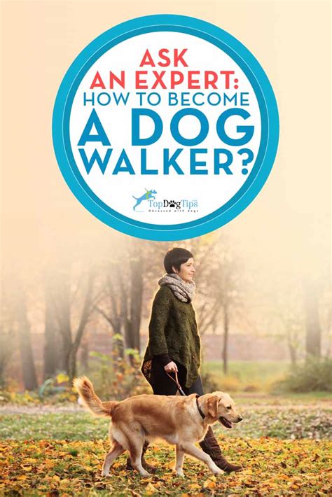 How to Become a Dog Walker - Job Tips from a Professional