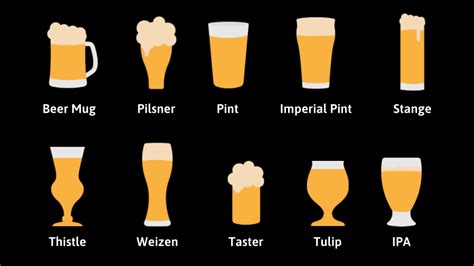 Types of Beer Glasses Explained
