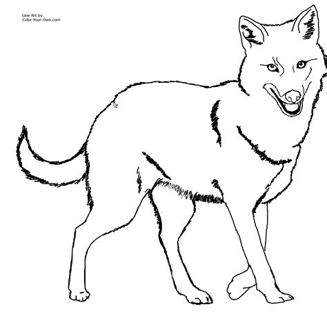 jackal drawing - Clip Art Library