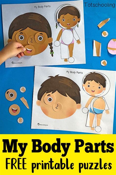 My Body Parts - Printable Puzzles | Body parts preschool, Body ...