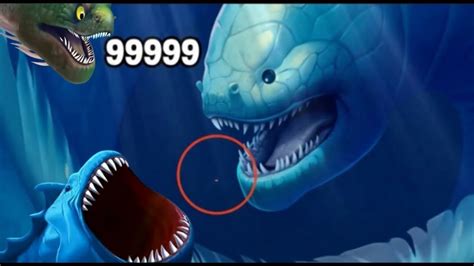 Fishdom Ads Mini Games New Levels Fish Evolution Vs The Bloop Trailer ...
