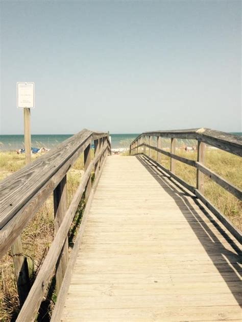 Carolina Beach State Park - 2018 All You Need to Know BEFORE You Go (with Photos) - TripAdvisor ...