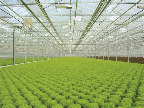 Hydroponics Give Growers Control - Greenhouse Grower