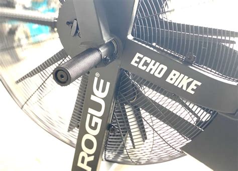 Rogue Echo Bike In-Depth Review (2023) Garage Gym Lab | lupon.gov.ph