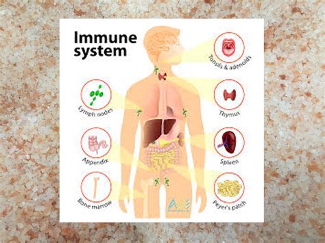 Health benefits of Negative Ions for Healing and The Immune system