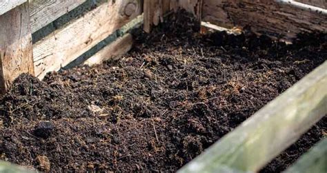 10 Types of Compost You Need to Know