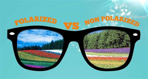 Everything To Know About Polarized vs Non-Polarized Sunglasses [Infographic]