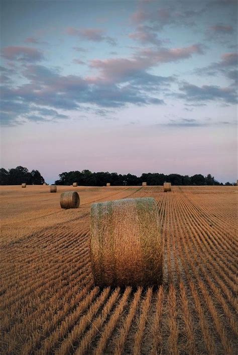 Sunset Straw Bales Photograph by Glen Robertson - Fine Art America