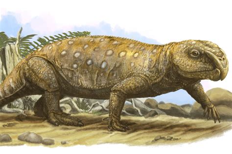 Ancient reptiles starved thanks to some pretty tough plants