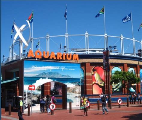 5 reasons to visit the Two Oceans Aquarium | ComeToCapeTown