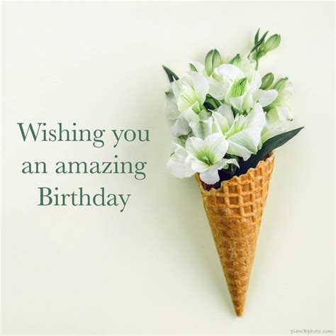 Flowers Download Birthday Wishes / Flower Frame Png, Flowers, Gallery, Art, Birthday Wishes ...