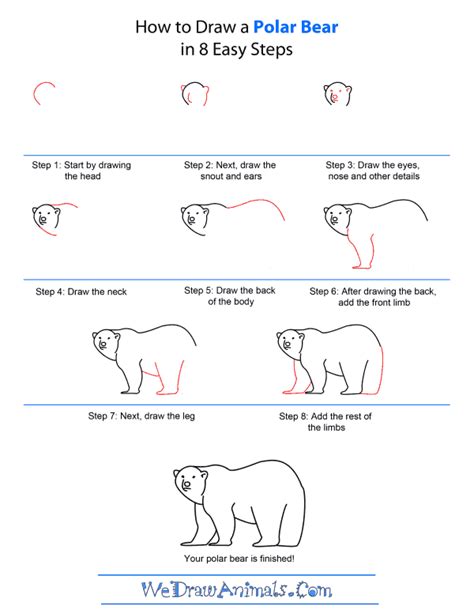 How To Draw A Polar Bear