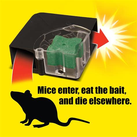 Amazon.com : d-CON Rodenticide Rodent and Mouse Bait Station Corner Fit ...