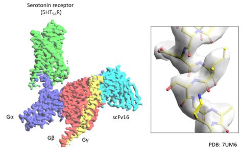 Using The Power Of Cryo-EM For Structure Determination