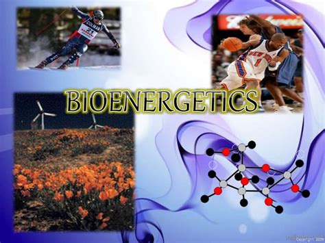 BioEnergetics | PPT